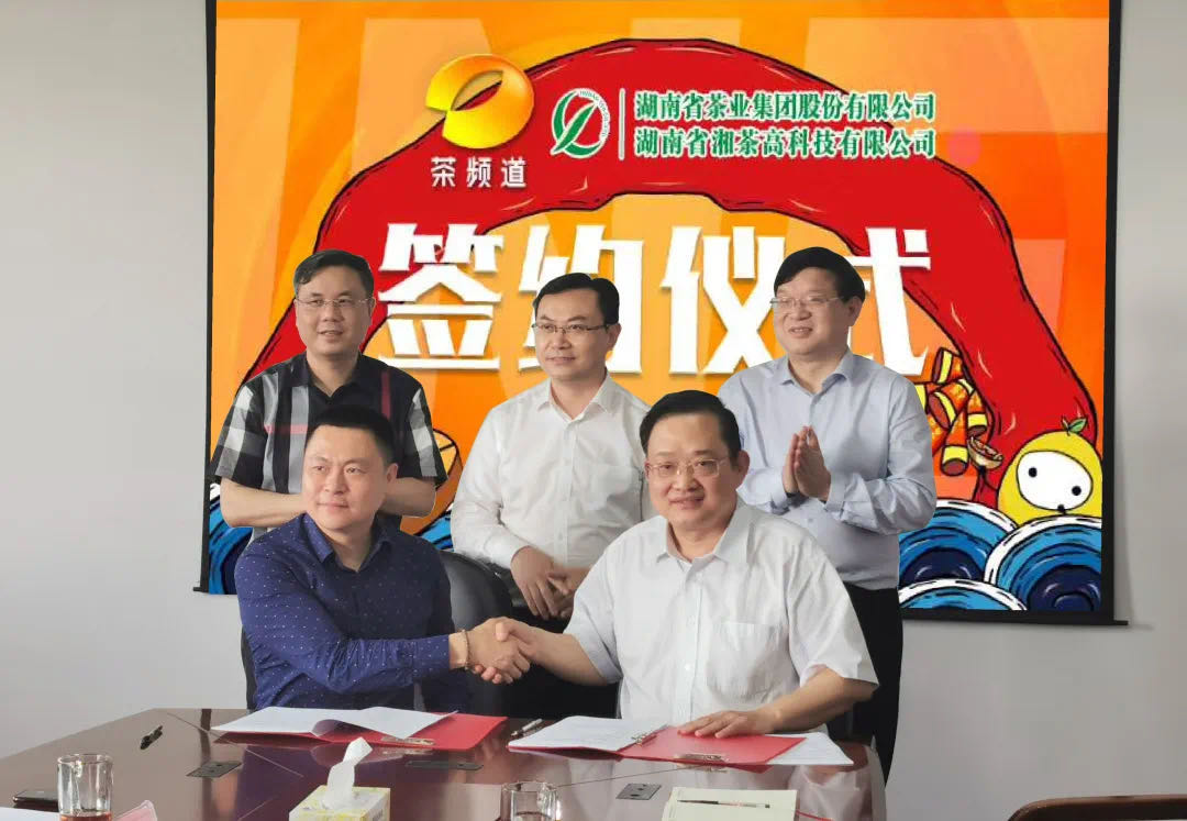 院士見證，輕輕茶發(fā)力品牌建設(shè)，與茶頻道達(dá)成深度合作