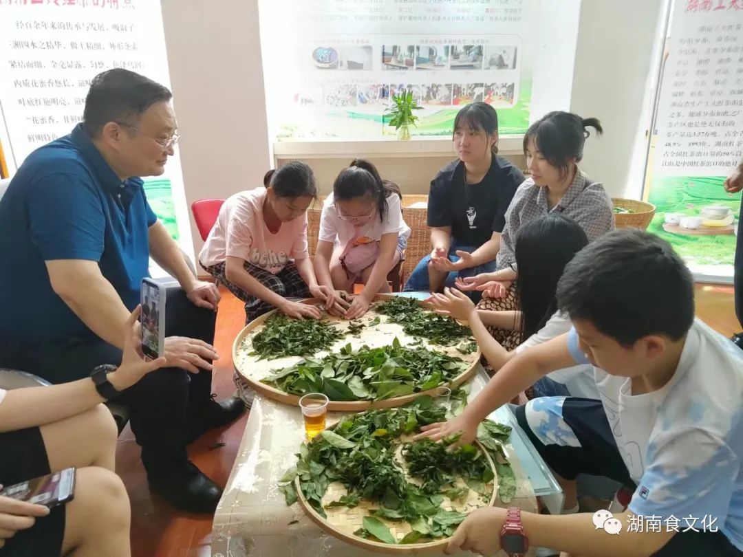 原載人民日?qǐng)?bào)“人民視點(diǎn)”茶葉是怎樣做出來的？湖南大、中、小學(xué)生體驗(yàn)湖南工夫紅茶制作